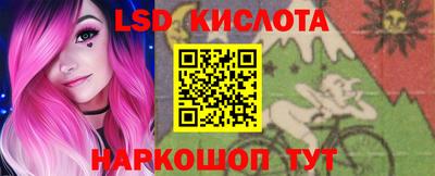 винт Сланцы