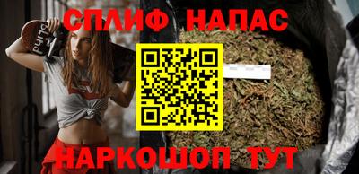 гидра Ставрополь