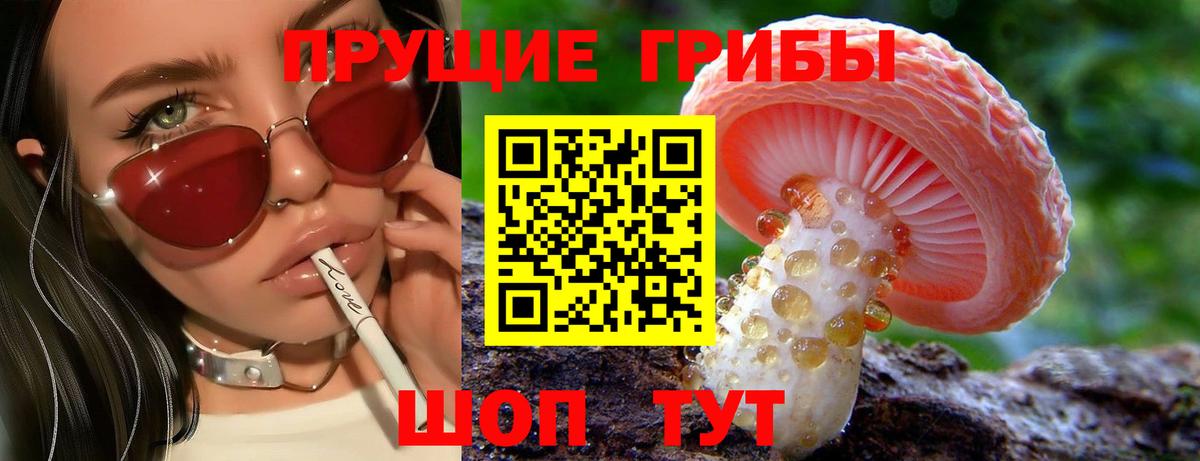 Галлюциногенные грибы Psilocybine cubensis Наро-Фоминск